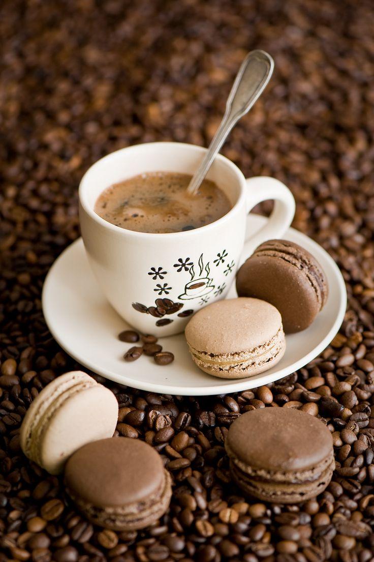 Symphony of Aromas Artisan Espresso